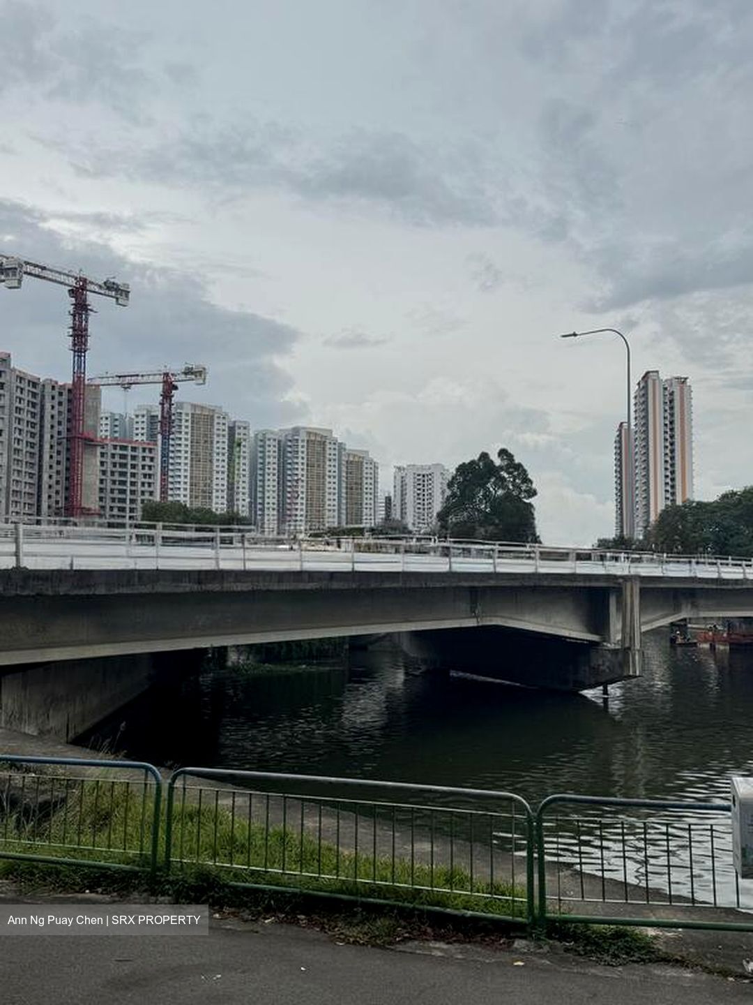 The Riverine By The Park (D12), Apartment #503270001